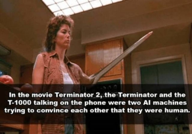 terminatormemes_014