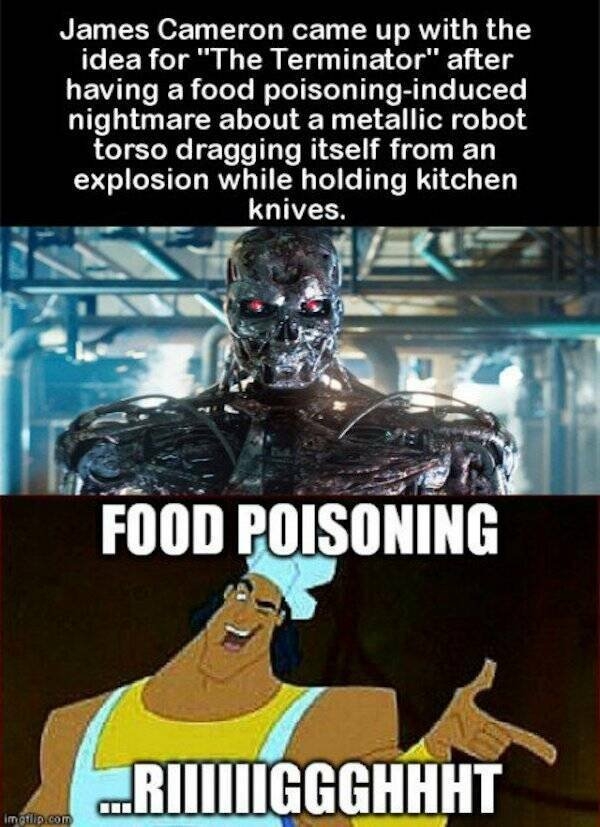 terminatormemes_015
