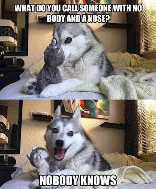 animalmemes3_009