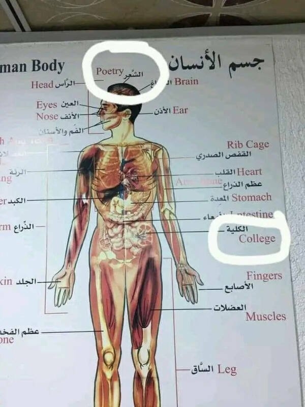 badtranslations4_012