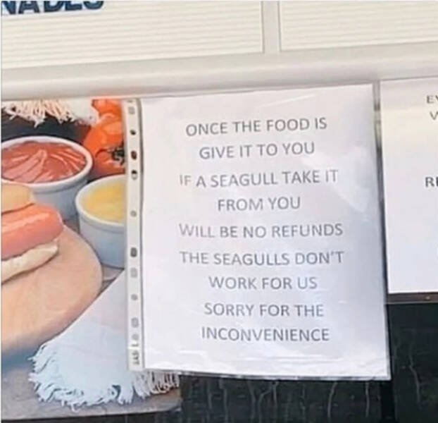 badtranslations4_014