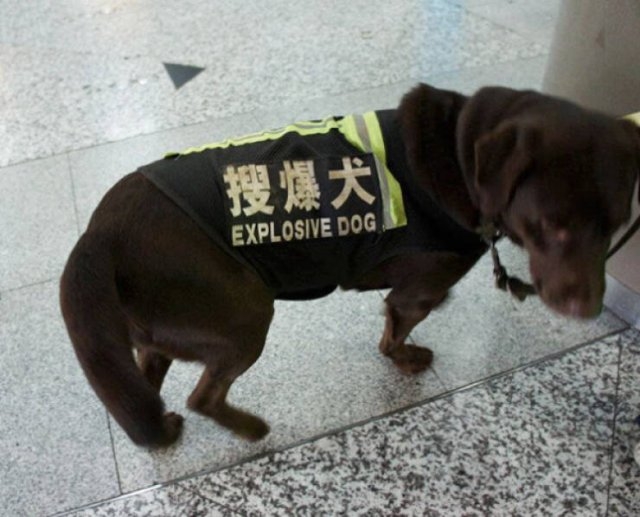 badtranslations4_038