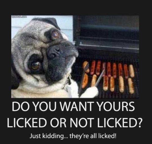 bbqmemes_003