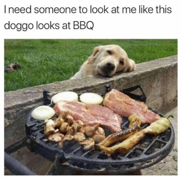 bbqmemes_007
