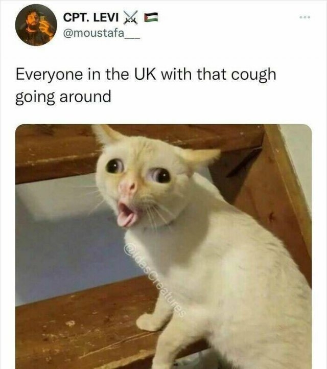 britishmemes_003