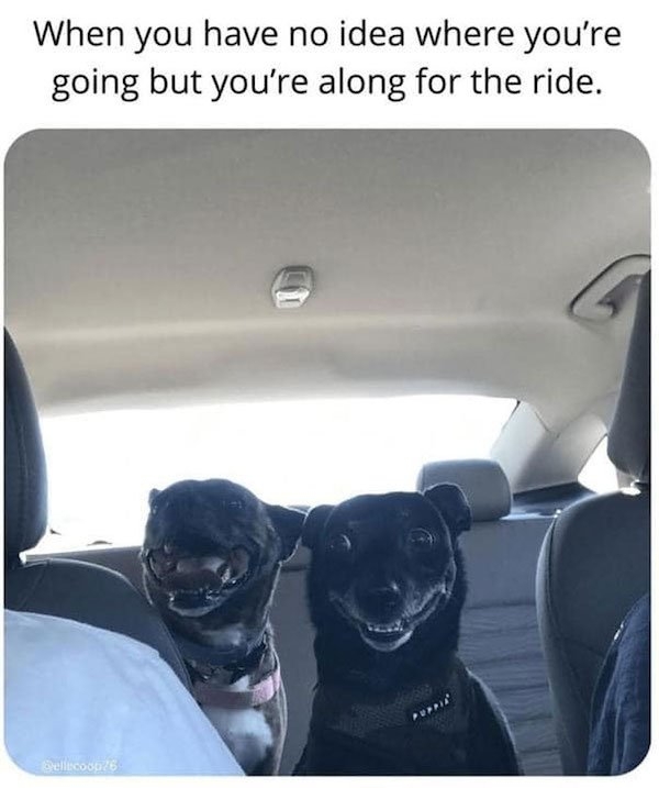 dogmemes5_008