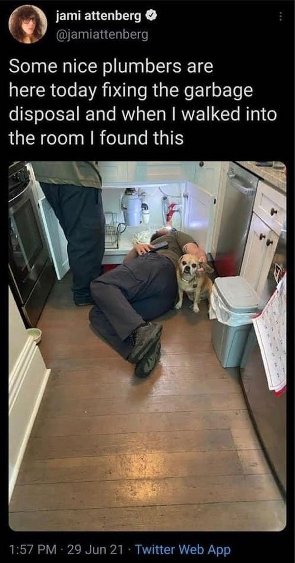 dogmemes5_016