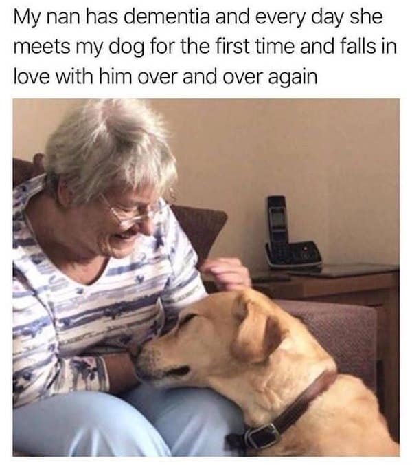 dogmemes5_032