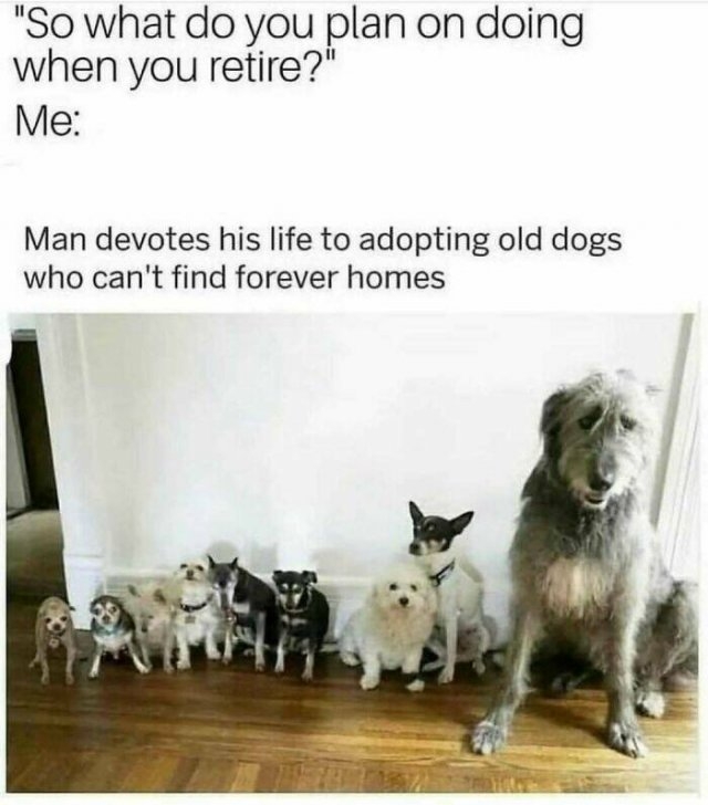 dogmemes5_036