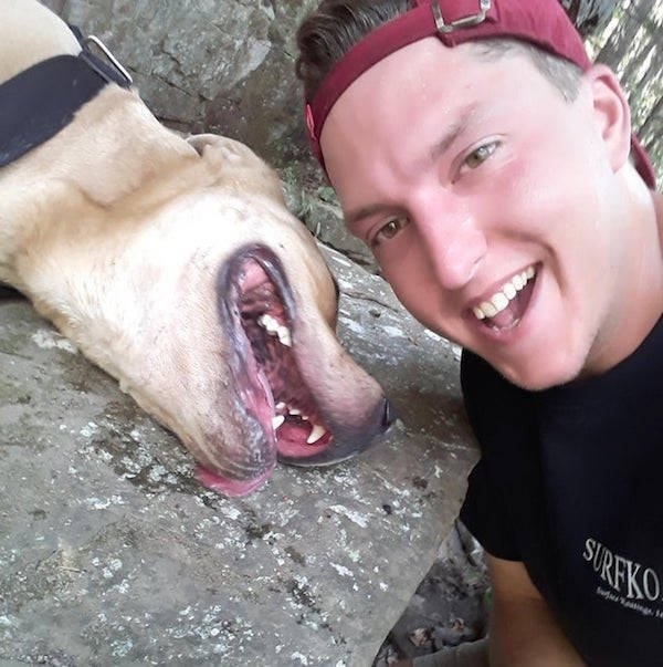 dogs29_003