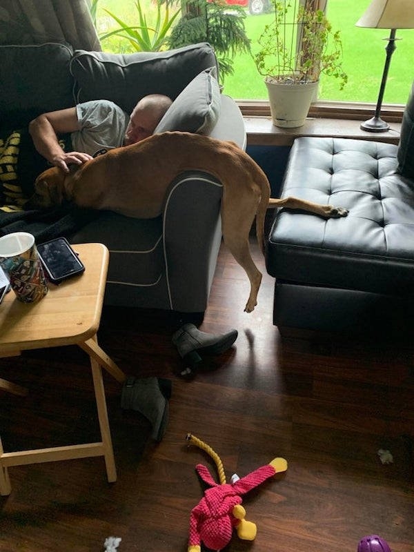 dogs29_006