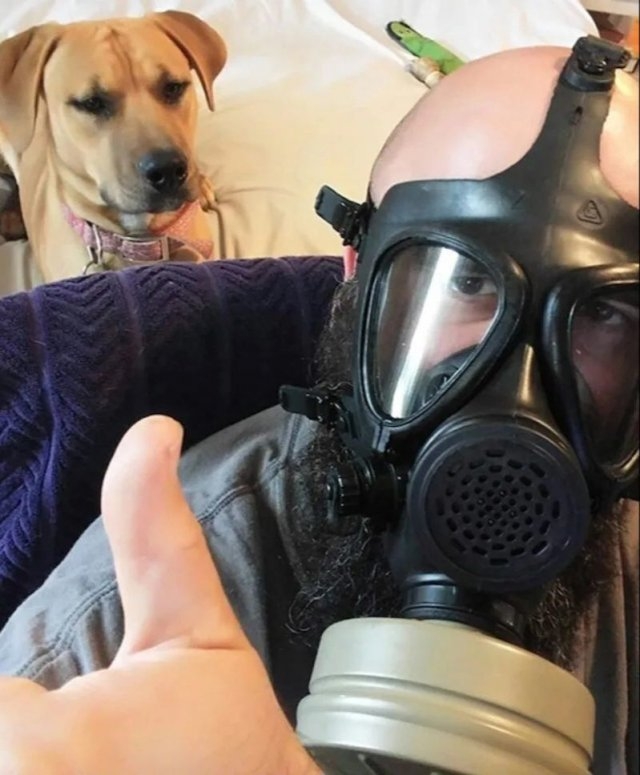 dogs29_014