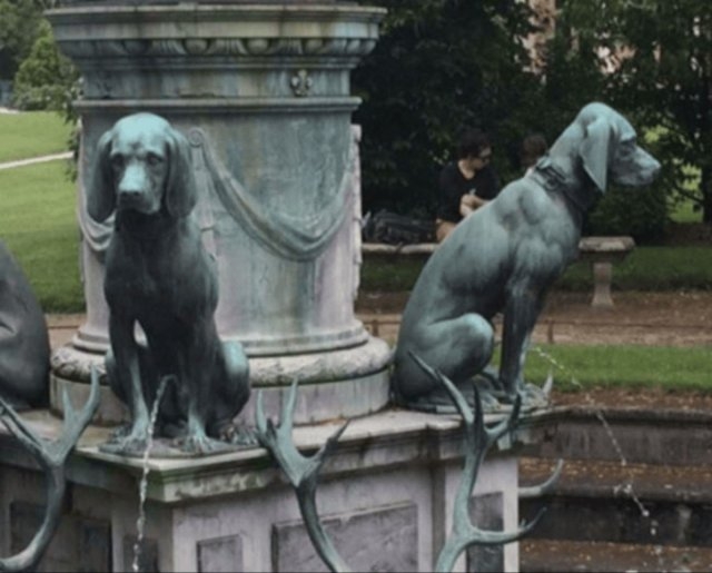 dogs29_022