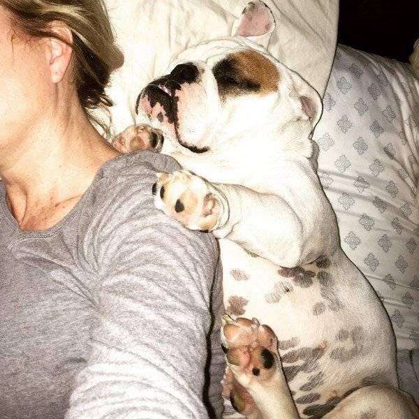 funnyanimals105_020