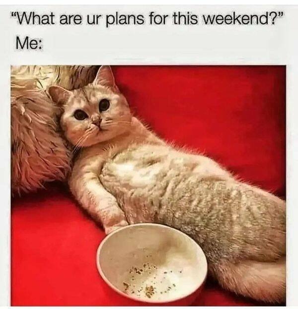 funnymemes151_004