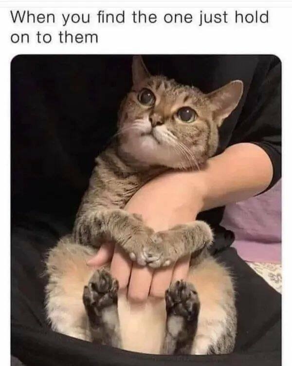 funnymemes151_010