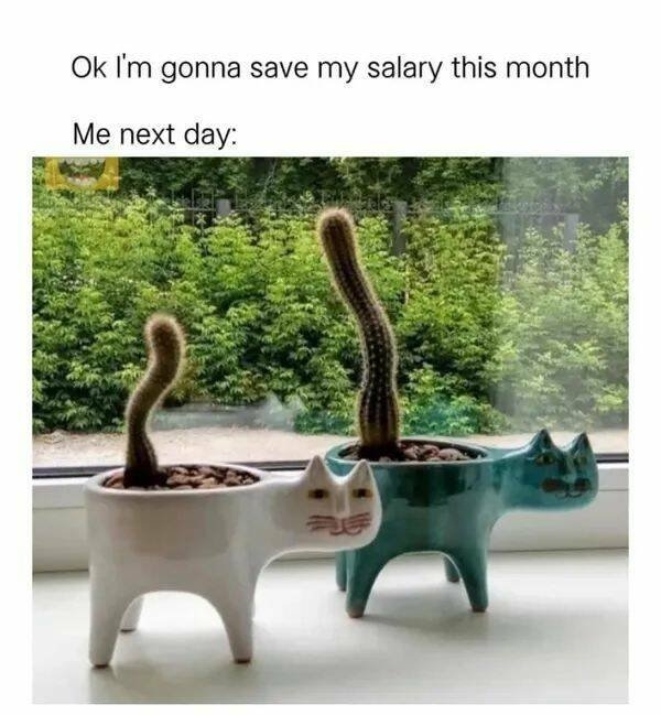 funnymemes151_011