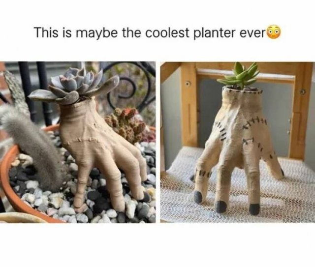 funnymemes151_013