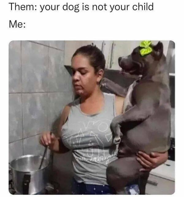 funnymemes151_018