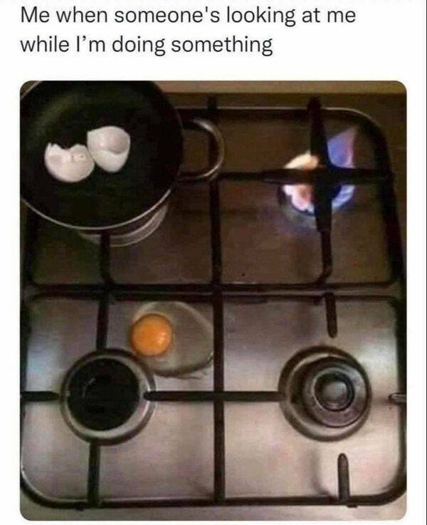 funnymemes151_023