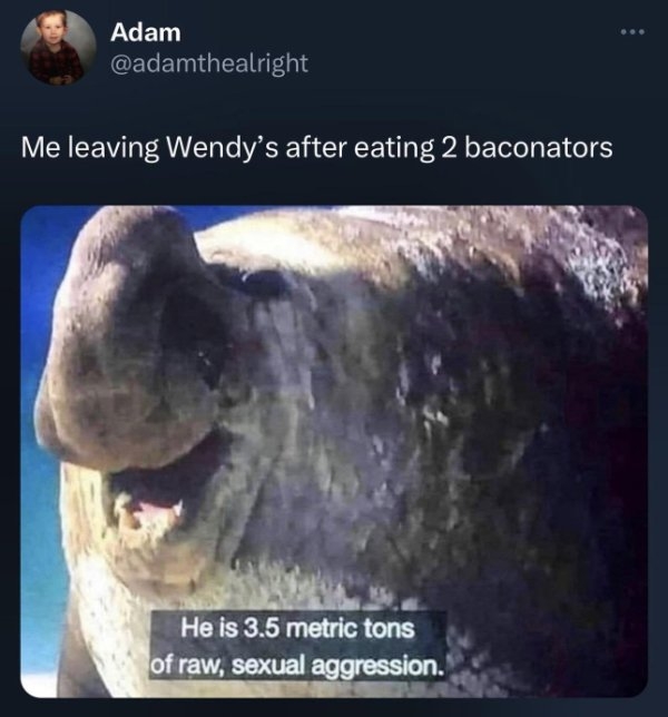 funnymemes151_029