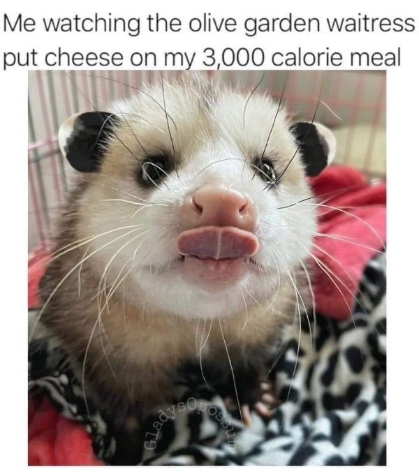 funnymemes151_038