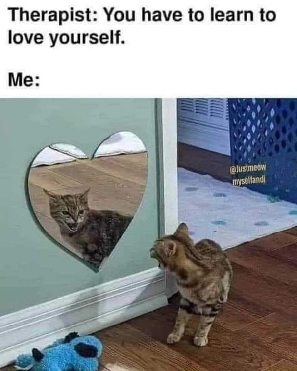 funnymemes151_040