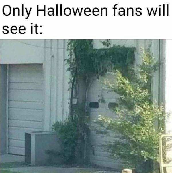 halloweenmemes4_026
