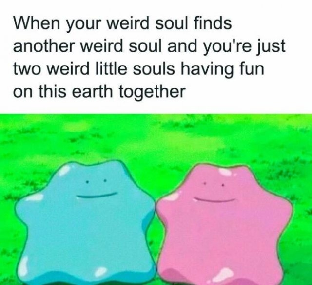 horrormoviememes_011