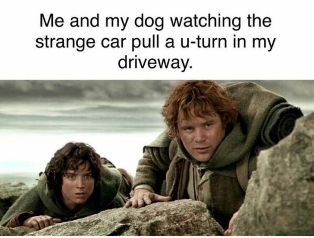 horrormoviememes_028