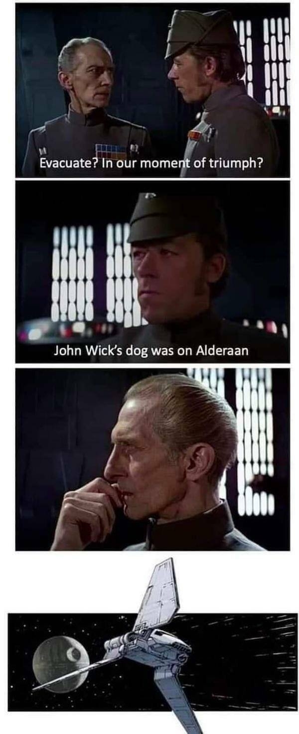 horrormoviememes_030