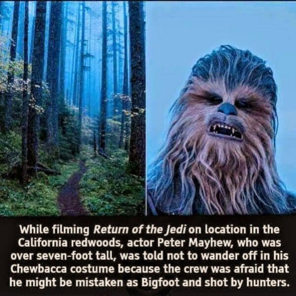 horrormoviememes_042