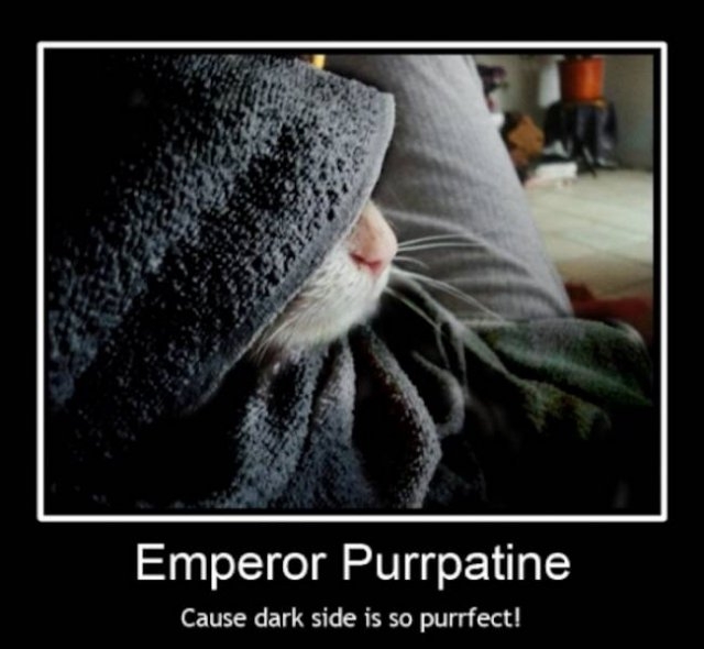 horrormoviememes2_007