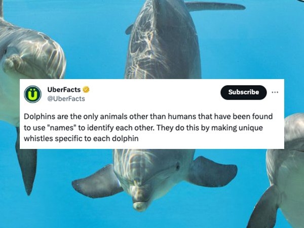 interestingfacts67_012