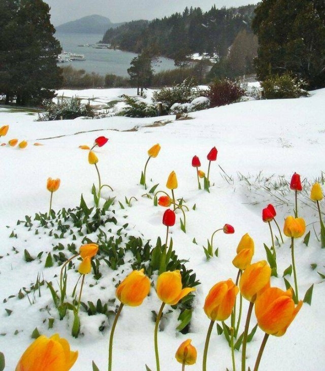 randompics1001_062