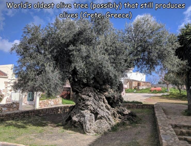 randompics961_053