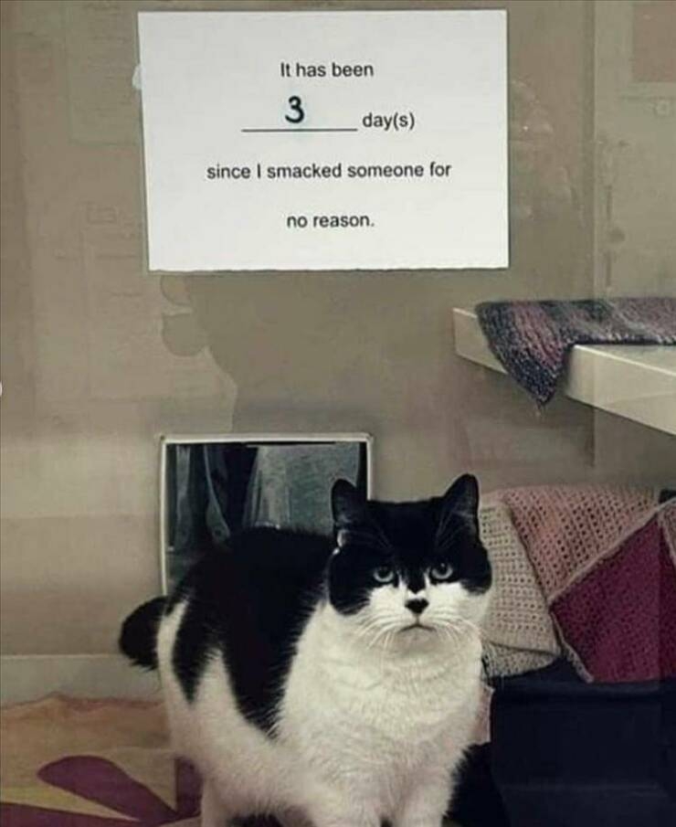 randompics992_067