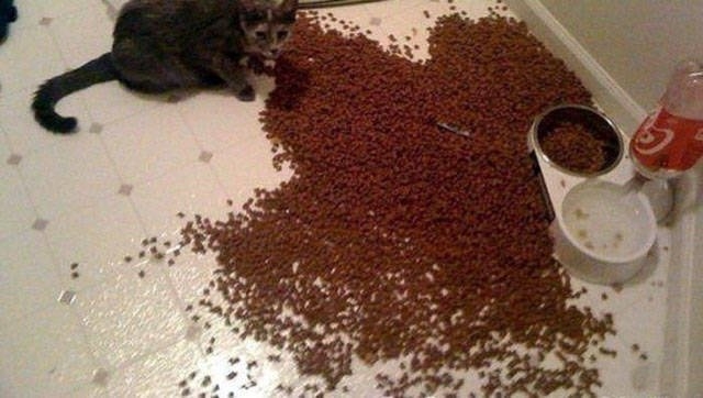 randompics994_065