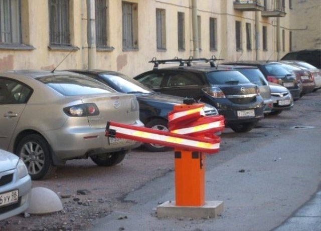 randompics994_071