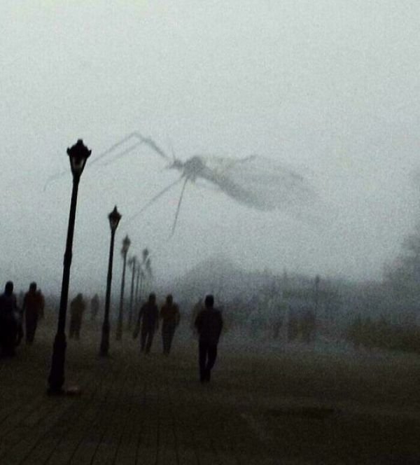 scarypictures12_016