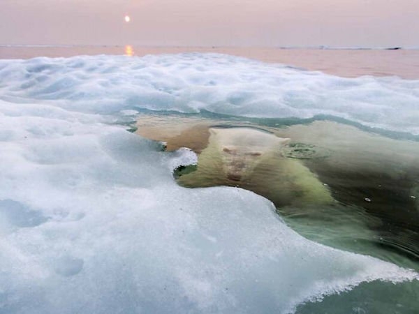 scarypictures12_021