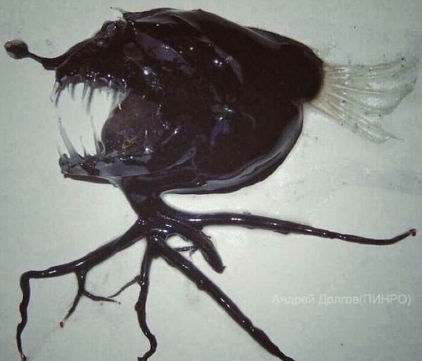 scarypictures12_023