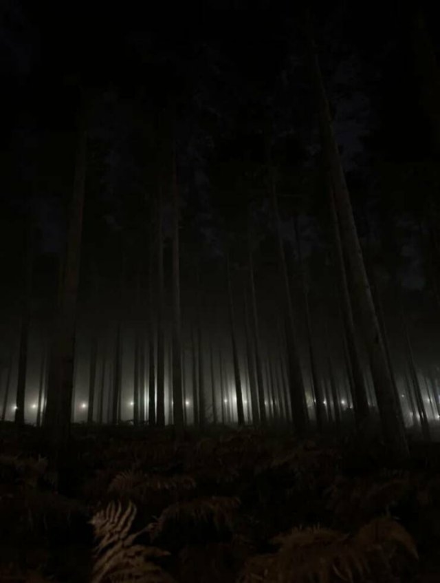 scarypictures12_038
