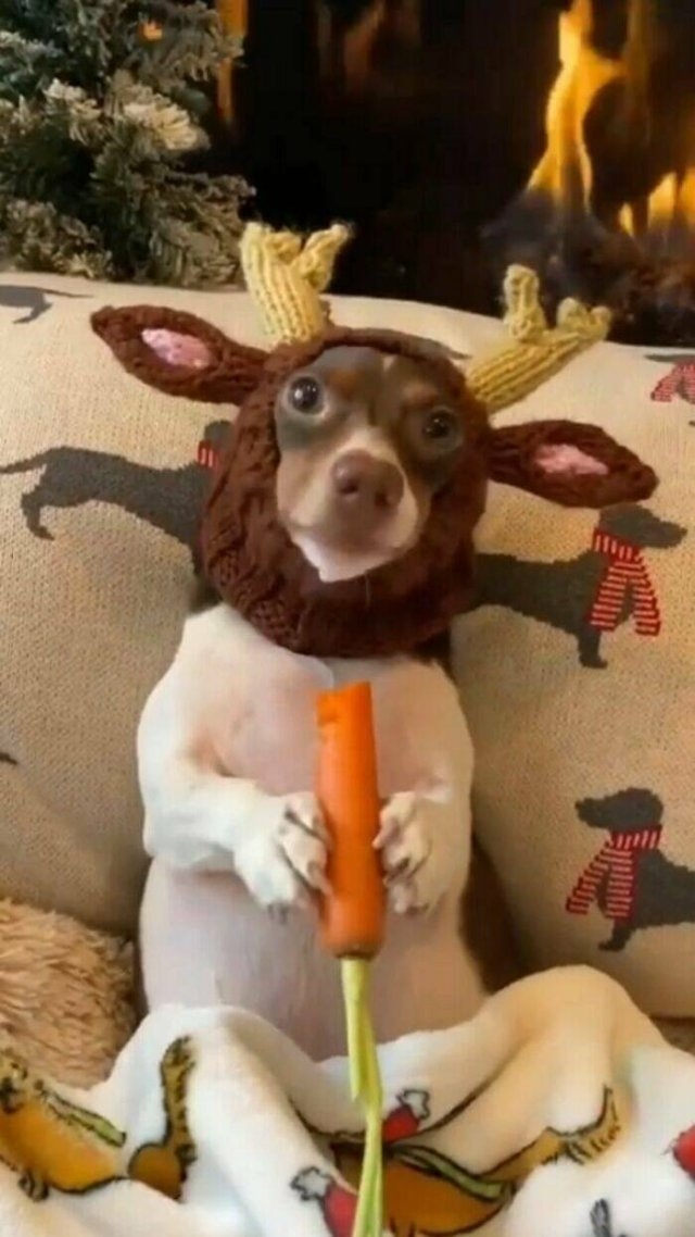 strangedesigns26_002