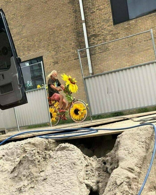 strangedesigns26_011