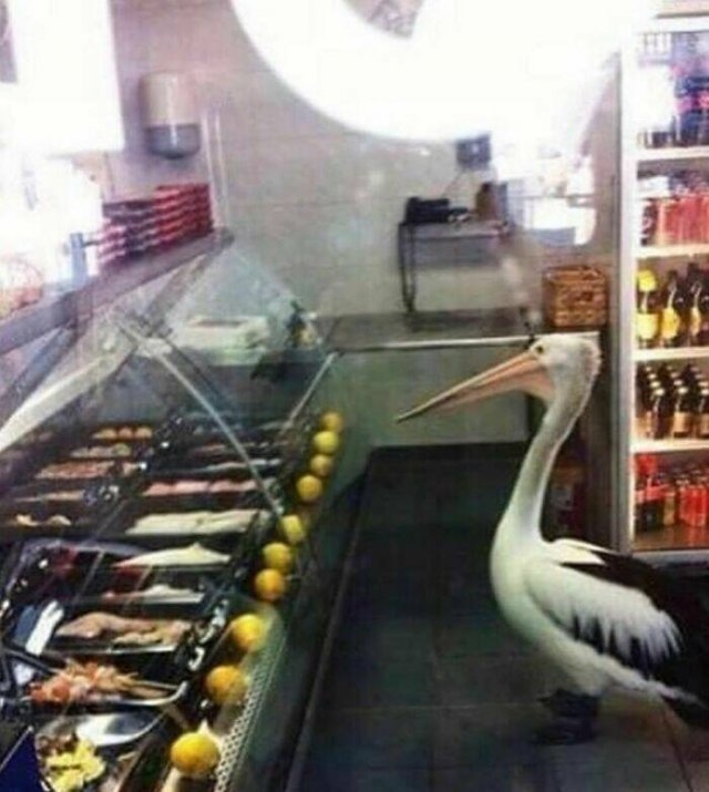 strangedesigns26_044