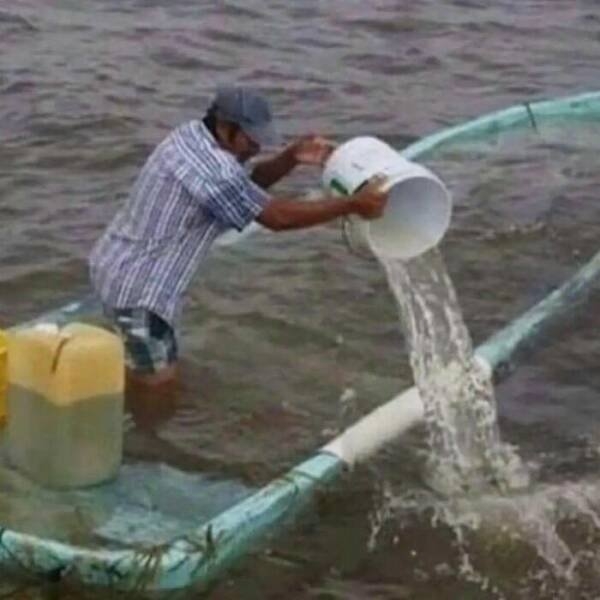 strangedesigns27_002