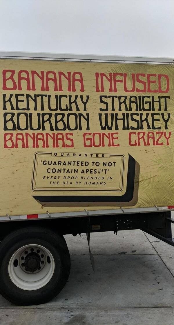 strangedesigns27_019