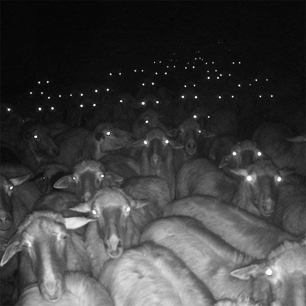 strangedesigns28_004