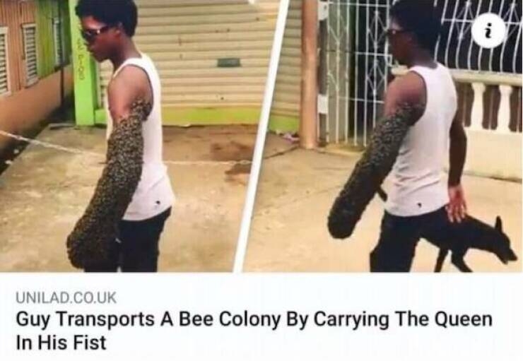 strangedesigns28_012